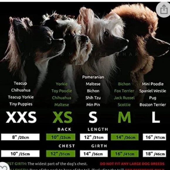 NWT Fitwarm Floral Lace Lined Dog Dress, Small - Picture 9 of 9